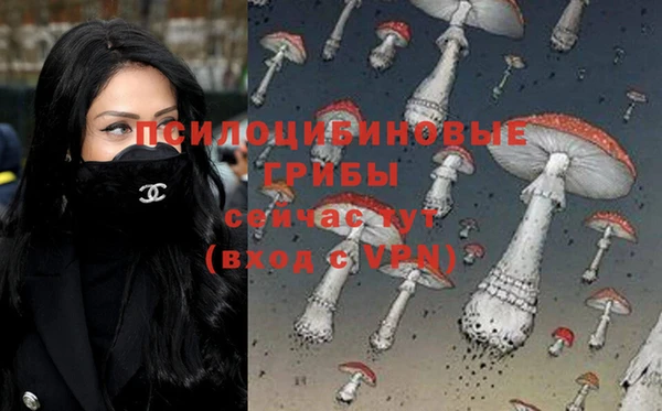 а пвп мука Баксан