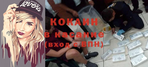 прущие грибы Новозыбков