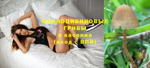 а пвп мука Баксан