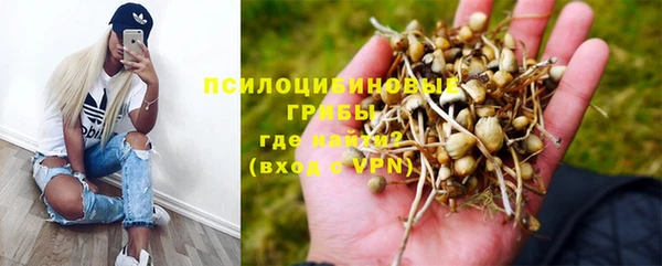 а пвп мука Баксан